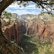 Zion National Park, USA