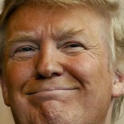 Social Media Superstar / Commercial Success