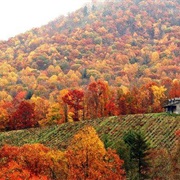 Great Smokey Mountains, N.Carolina/Tennessee
