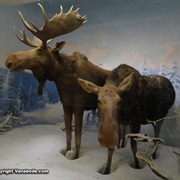 Maine State Museum in Augusta