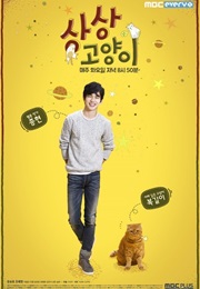 Imaginary Cat (2015)