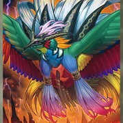 Bird of Paradise Lost