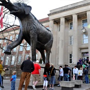 University of Nebraska State Museum