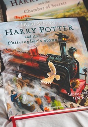 Harry Potter and the Sorcerer's Stone: The Illustrated Edition (J.K. Rowling and Jim Kay)
