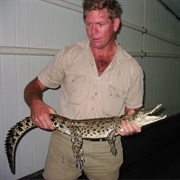Held a Crocodile