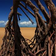 Kurrimine Beach National Park (QLD)