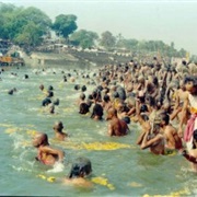 Magh Mela Festival, India