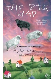 The Big Nap  by Ayelet Waldman (Ayelet Waldman)