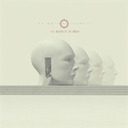 Animals as Leaders - The Madness of Many