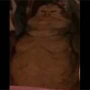 Gardulla the Hutt