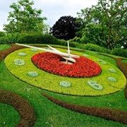 Flower Clock
