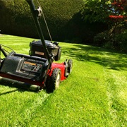 Mowed a Lawn