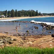Avoca Beach