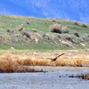 Hutton Lake National Wildlife Refuge
