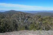Woomargama National Park (NSW)