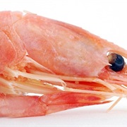Prawns