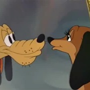 Pluto & Dinah