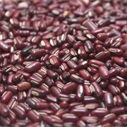 Ricebean / Rice Bean (Vigna Umbellata)