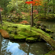 Kokedera (Moss Temple)