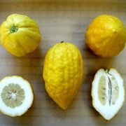 Greek Citron