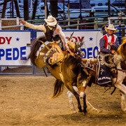 Catch a Rodeo in Wyoming