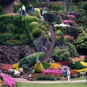 Visit Butchard Gardens (BC)