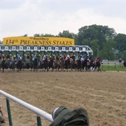 The Preakness