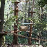 Trees Adventure at Belgrave Victoria