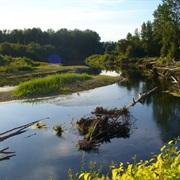 Molalla River State Park, Oregon