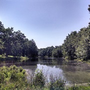 Widewater State Park, Virginia