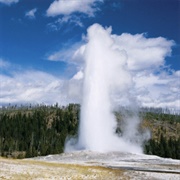 Go to Yellowstone Park