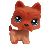 Littlest Pet Shop #249