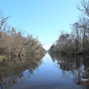 Bayou Blue, Louisiana