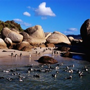 Boulders Bay, South Africa