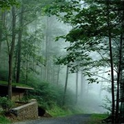 Point Pleasant, Pennsylvania