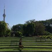 Toronto Music Garden