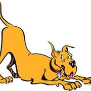 Marmaduke