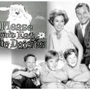 Please Don't Eat the Daisies