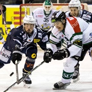 Any Other Pro Ice Hockey Leagues