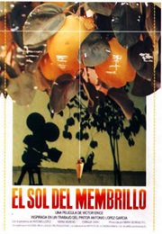 Dream of Light (1992)