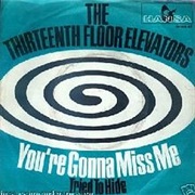 The 13th Floor Elevators, You&#39;re Gonna Miss Me