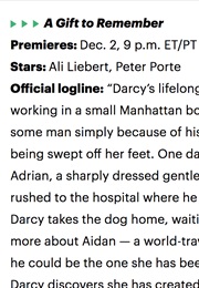 A Gift to Remember (2017)