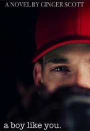 A Boy Like You (Ginger Scott)