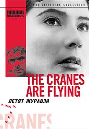 The Cranes Are Flying