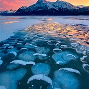 See the Bubbles of Abraham Lake (AB)