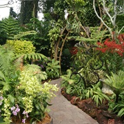 National Orchid Garden, Singapore