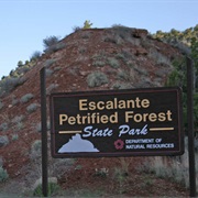 Utah - Escalante Petrified Forest Curse