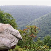 Forbes State Forest, Pennsylvania