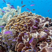 Pigeon Cay, Honduras