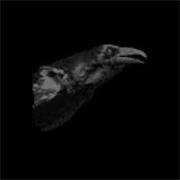 Cut City - Exit Decades